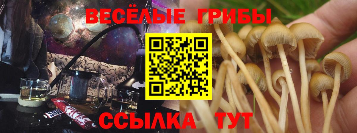 Галлюциногенные грибы ЛСД  Вход с VPN  Уссурийск 